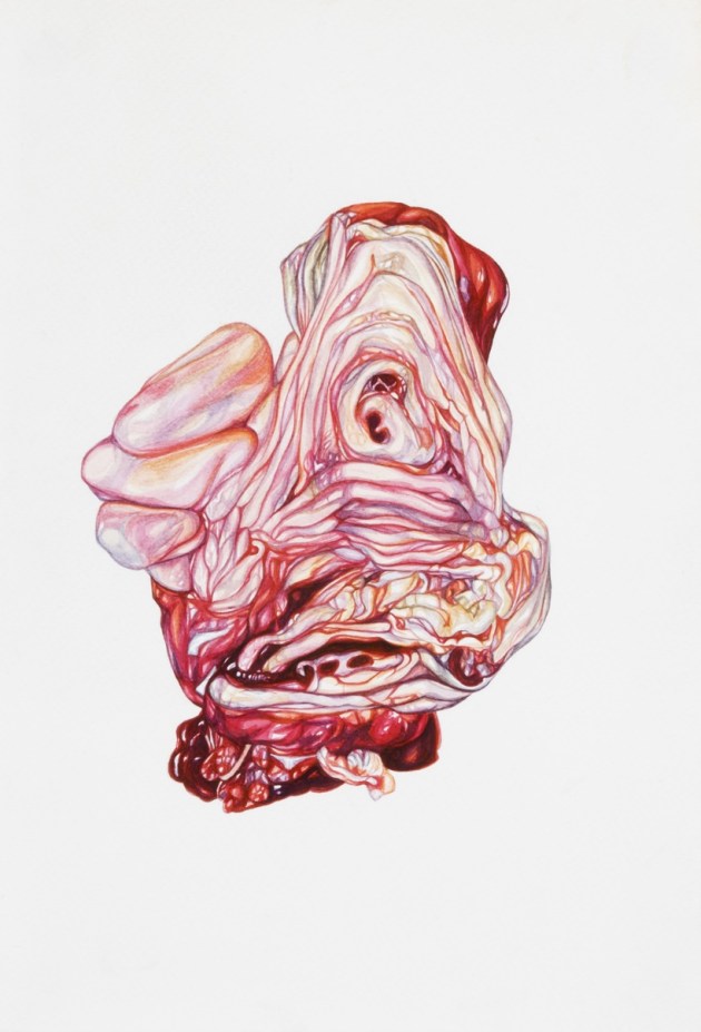 new art exhibition. terrain.art exhibitions, migration art exhibition, nabanita guha art exhibition, Jayeti Bhattacharya exhibition, indianexpress.com, indianexpress,