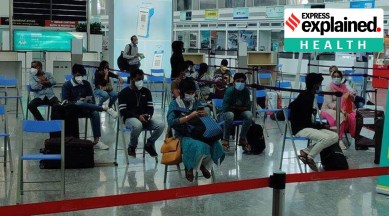Covid, international travel restrictions