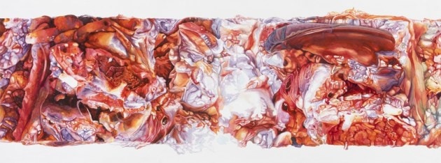 new art exhibition. terrain.art exhibitions, migration art exhibition, nabanita guha art exhibition, Jayeti Bhattacharya exhibition, indianexpress.com, indianexpress,