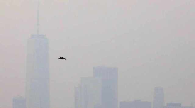 A bird flies as downtown Manhattan's skyline is seen through a cover of wildfire smoke in New York City. (Reuters) 