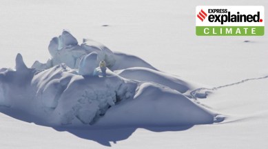 Last ice area, arctic melting