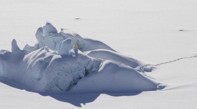 aRCTIC REGION