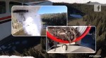 Ariel fish stock, Utah Lakes, Utah Division of Wildlife Resources, Fish dropped from plane Utah, Viral video, Trending news, Viral news, Indian Express news