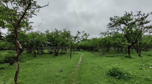 The Ayodhya land that is under question. (Express photo by Avaneesh Mishra)