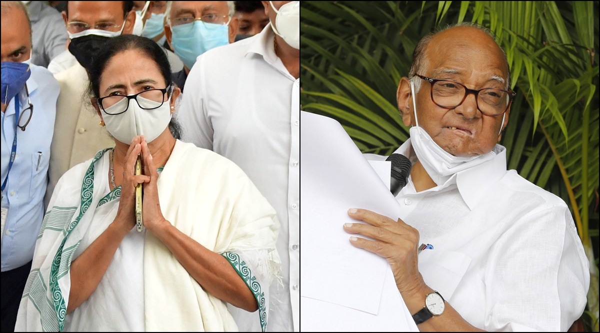 Sharad Pawar (R) said that Mamata Banerjee (L) had called him over her visit to New Delhi. (PTI/File)
