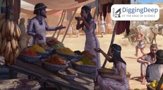 Market in the city of Megiddo in the Levant 3,700 years ago