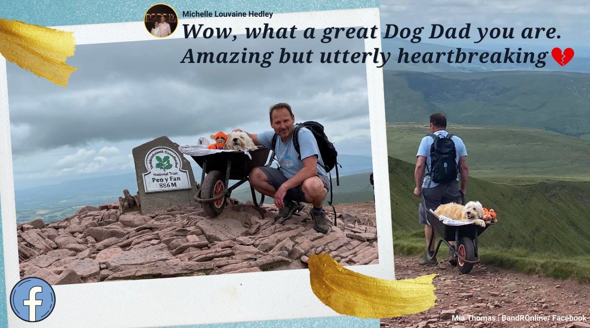 dying dog final trek, dog with caner final trip, man takes dying dog on final hike, pen y Fan, pen y Fan dog last trek pics, good news, indian express