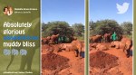 Elephants, Elephant videos, Mud bath, Viral video, Kenya, Sheldrick Wildlife Trust twitter, Sheldrick Wildlife Trust elephant calves, Trending news, Viral news, Indian Express news