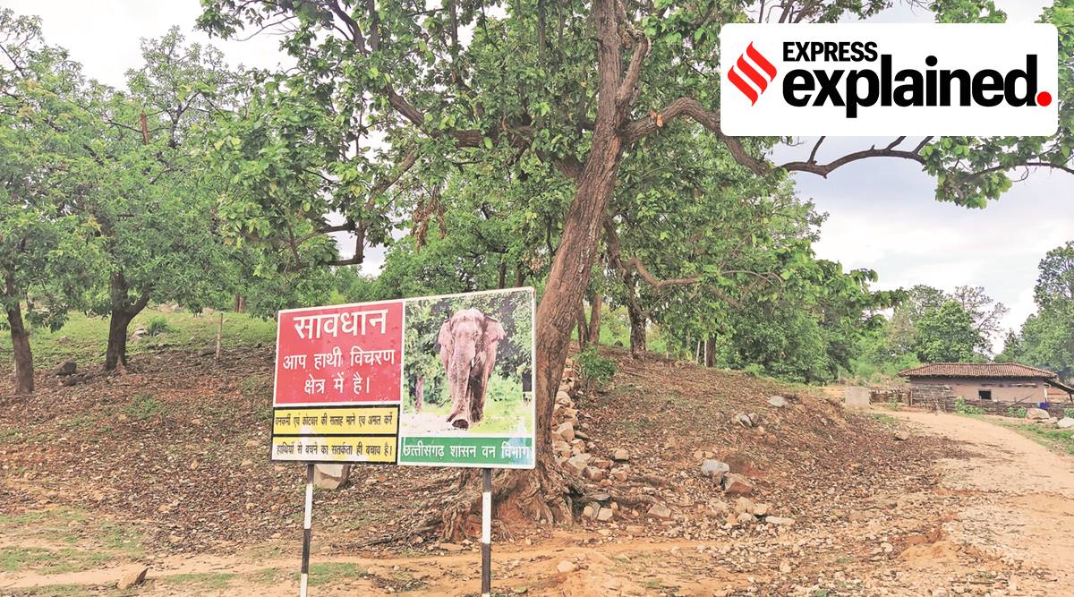 Lemru Elephant Reserve, Chhattisgarh elephant reserve, T S Singh Deo, MLA Laljith Rathia, indian express, indian express explained