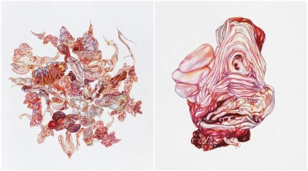 new art exhibition. terrain.art exhibitions, migration art exhibition, nabanita guha art exhibition, Jayeti Bhattacharya exhibition, indianexpress.com, indianexpress,