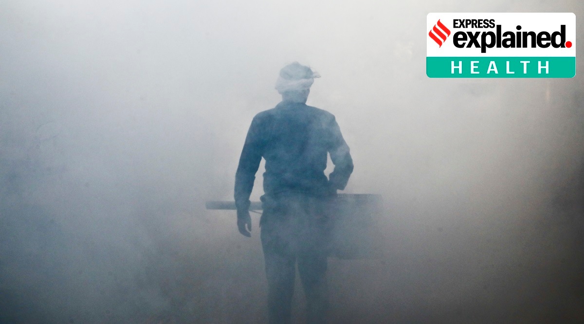 A health worker fumigates a residential area to prevent the spread of mosquito-borne diseases in New Delhi. (Express Photo: Abhinav Saha, File)