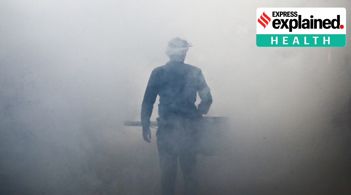 A health worker fumigates a residential area to prevent the spread of mosquito-borne diseases in New Delhi. (Express Photo: Abhinav Saha, File)
