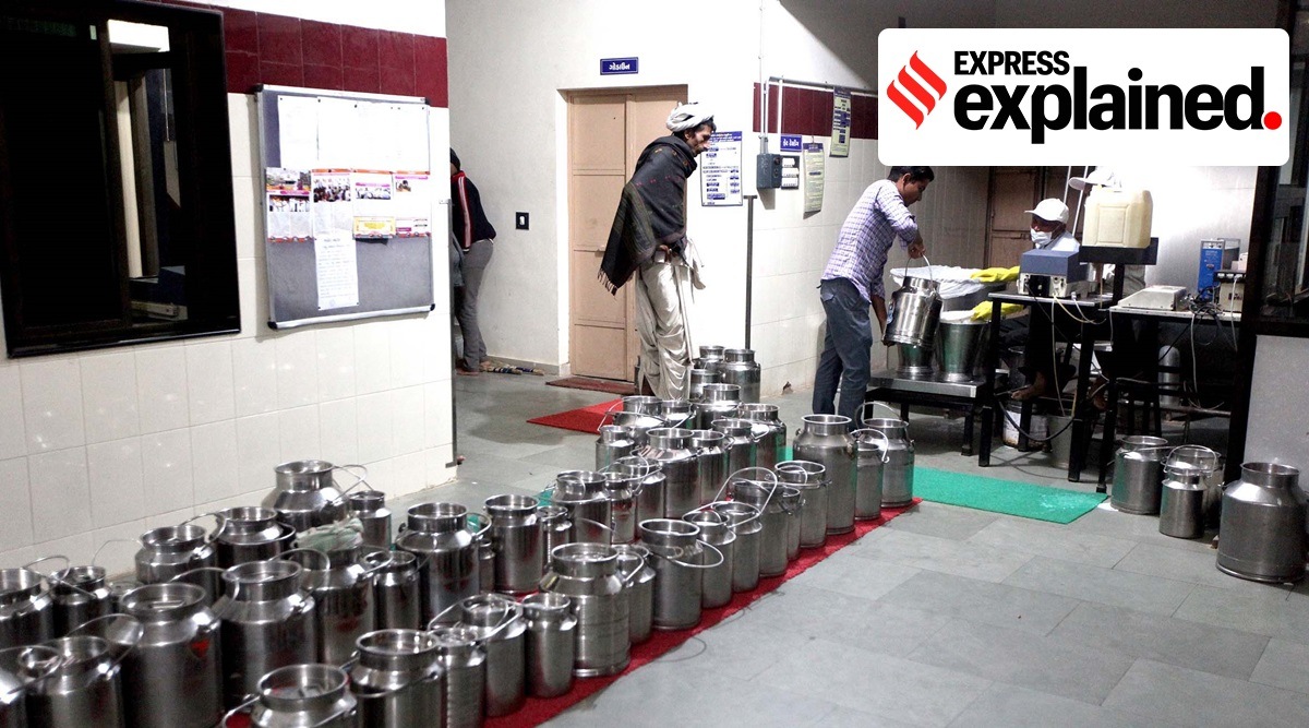 Dairy farmers with their produce at a cooperative’s milk collection centre in Ahmedabad, Gujarat. (Bhupendra Rana/Express Archive)