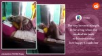 monkey taking care of sick woman, monkey hugging sick woman, monkey hugging woman who feed it, viral video, indian express news