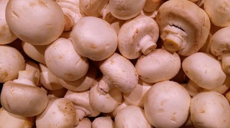 Mushrooms health benefits