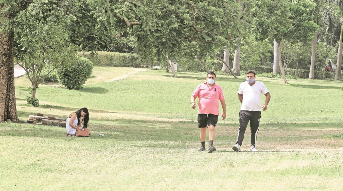 At Lodhi Garden in New Delhi. (Express Photo by Amit Mehra)