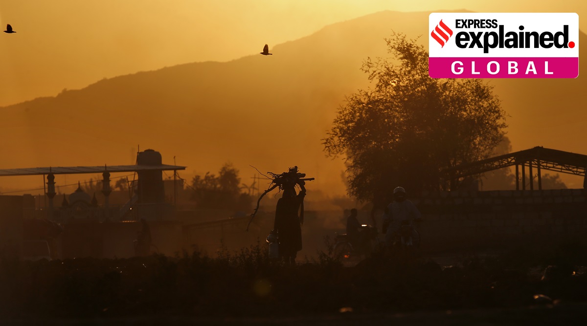 A woman carries wood on the outskirts of Islamabad. Domestic violence against women has reportedly escalated in Pakistan during the pandemic. (AP Photo: Anjum Naveed, File)