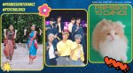 BTS, Permission to dance, bts ptd dance challenge, permission to dance challenge, youtube shorts dance challenge, permission to dance bts videos, indian express