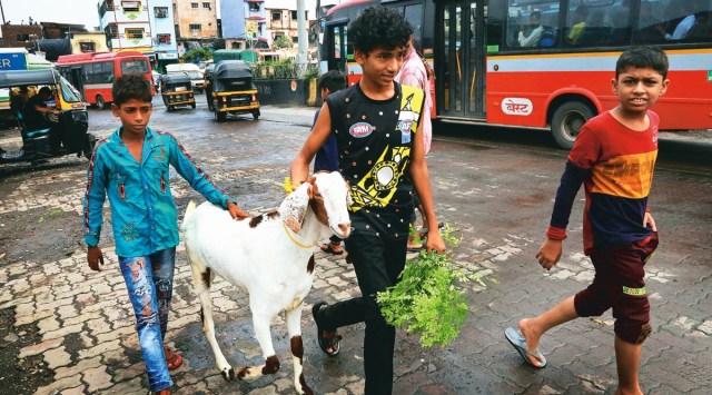 Eid-ul-Adha will be observed on July 21. (Express photo)