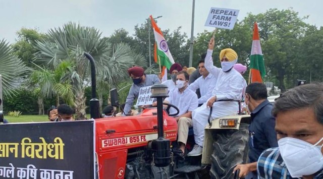 Congress leader Rahul Gandhi drove a tractor to Parliament with party MPs from Punjab and Haryana, demanding repeal of the three farm laws. 