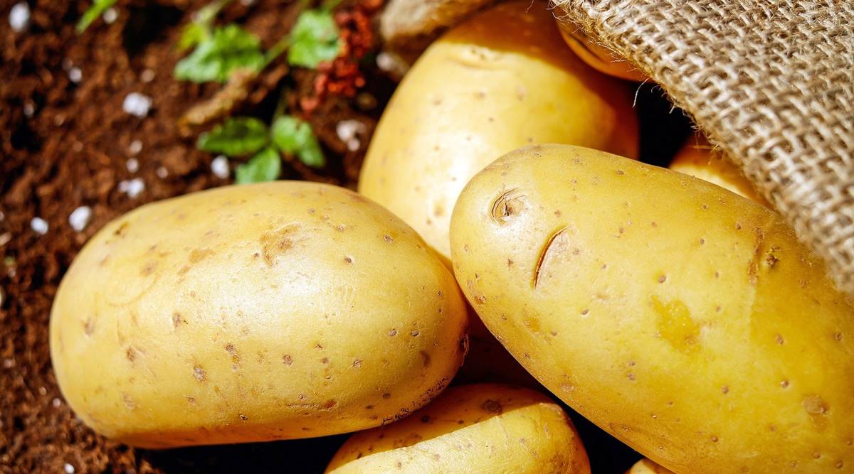 Chef shares simple tips and tricks to make potatoes last longer | Food-wine  News - The Indian Express