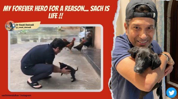 sachin tendulkar, sachin tendulkar new pet, sachin tendulkar adopts stray dog, tendulkar new indie puppy spike, viral videos, sports news, indian express