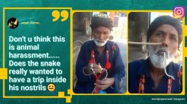 man inserts snake into nose, man inserts and pulls out snake from nose, Vidyut Jammwal, Vidyut Jammwal snake trick video, indian express