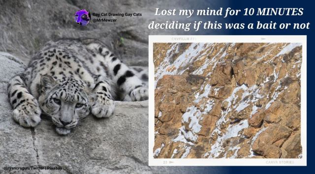 "Snow leopard doing a descent," a Utah man wrote sharing the original image. 