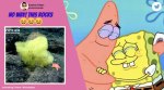 spongebob and patrick, SpongeBob SquarePants, noaa SpongeBob SquarePants, noaa spongebob patrick, viral news, indian express