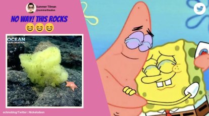 You can't tell me spongebob doesn't look adorable in these photos