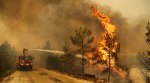 turkey, turkey wildfires, turkey forest fire, turkey is burning, turkey wildfire videos, viral videos, indian express
