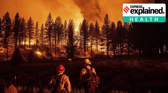 Firefighters monitor the Sugar Fire, part of the Beckwourth Complex Fire, as it burns at Frenchman Lake in Plumas National Forest, California, on Thursday, July 8, 2021. (AP Photo/Noah Berger, File)
