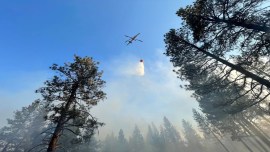 Latest News on Forest Fire: Get Forest Fire News Updates along with ...