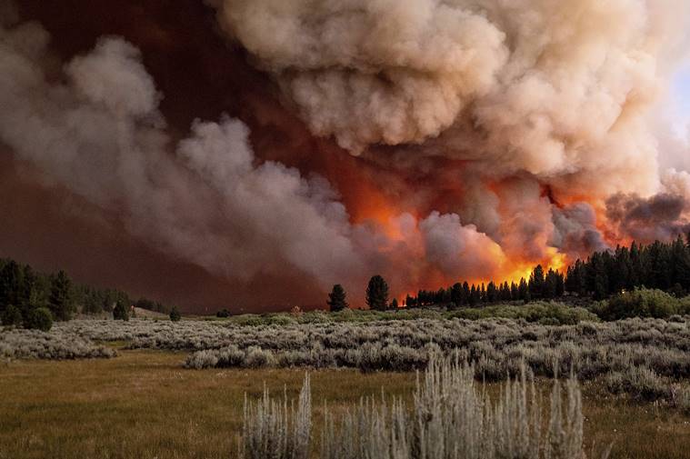 California forest closed as wildfires burn, heat returns