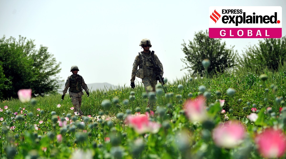 US Army soldiers walk through a poppy field near Zangabad village in 2009. The primary source of Taliban funding has been the drug trade, including from heroin and methamphetamine, besides opium. (The New York Times: Lynsey Addario)