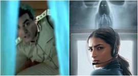 arbaaz khan in palak tiwari film rosie the saffron chapter