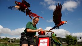 ZSL Whipsnade Zoo 2021 weigh-in