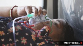 Covid oxygen deaths Delhi: No deaths due to oxygen shortage at Jaipur Golden, Delhi Police tells court; hospital says otherwise | Delhi News