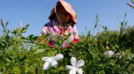 Chanel No.5, Chanel No.5 perfume, Chanel No.5 fragrance