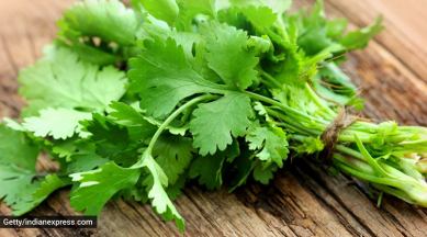 test, desi test, how desi are you, Indians, test to find out how desi you are, typical Indian traits, chef Kunal Kapur, test, score, indian express news