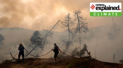 Wildfires raging in Europe: What, where and why?, Explainer News