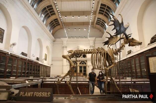 Indian Museum, Kolkata