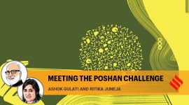 Opinion 3 (81) no alt set