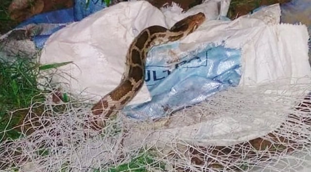 Gurgaon, python