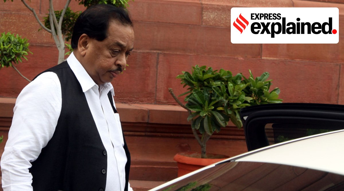 Narayan Rane outside Parliament. (Express Photo: Prem Nath Pandey, File)