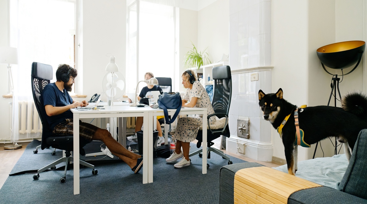 Russia, journalists, Meduza