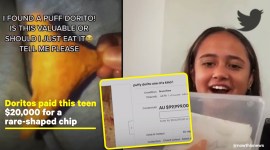 dorito auction, 20000 dollar dorito, puffed dorito auction, dorito sell on ebay, dorito auction australia