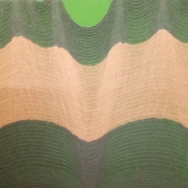 Shobha Broota, Mekhala Bahl, new art exhibition, gallery espace, september art exhibitions, indianexpress.com, indianexpress, Shobha Broota | Mekhala Bahl news, who is Shobha Broota, what is abstract art, abstract art in contemporary world,
