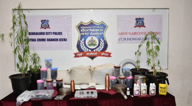 15 kg Hashish oil, 10 kg marijuana, apart from ecstasy tablets, cocaine and LSD strips, were seized. (Express Photo)