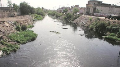 Buddha nullah, punjab, indus river, ludhiana, ludhiana mayor, Indian express, indian express news, punjab news